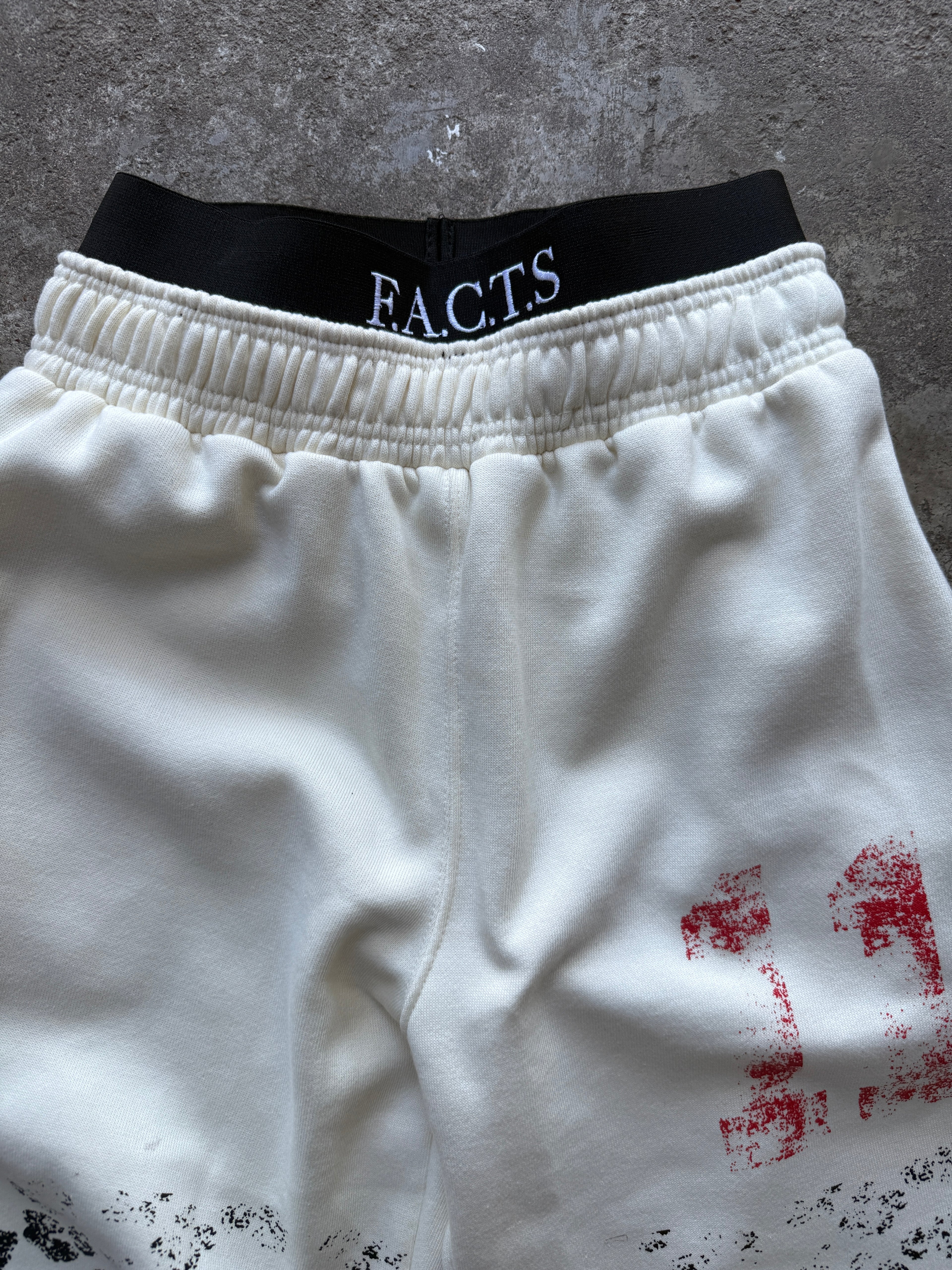 Aura 11 Double Waisted Sweatpants