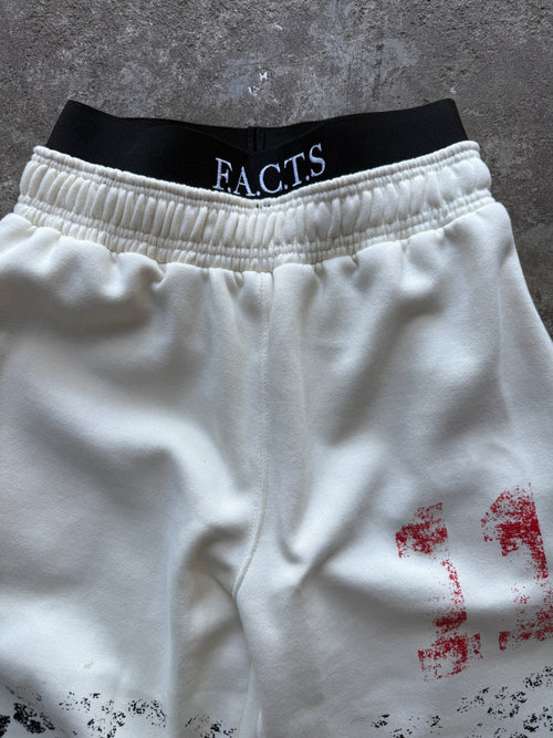 Aura 11 Double Waisted Sweatpants